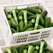 БАЛЬЗАМ-БЛИСК ДЛЯ ГУБ CUCUMBER ICE WiSHLiST LIP GLOSS BALM, 10 МЛ + БРЕЛОК "MOOD: ГІРКА" WL-03-416 фото 7